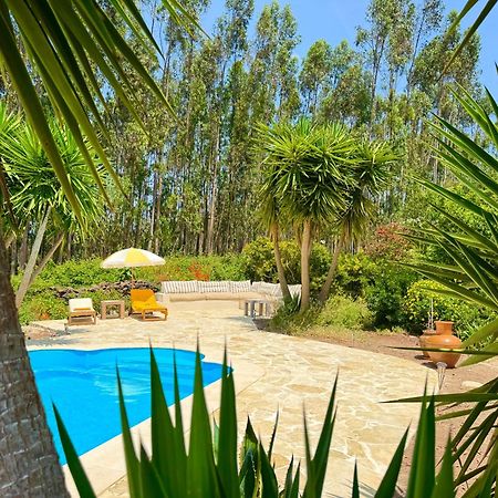 Wellbeing Guesthouse Casa E Connosco Alvaiázere Exteriér fotografie
