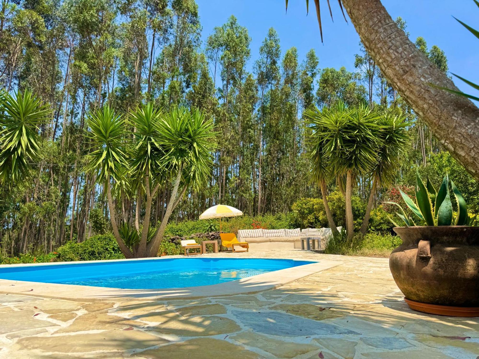 Wellbeing Guesthouse Casa E Connosco Alvaiázere Exteriér fotografie